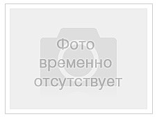 Магнолия «Soulangeana» (рус. Суланжа)
